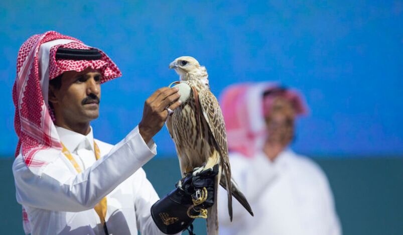 Saudi Arabia to Host the World's Biggest Falcon Auction